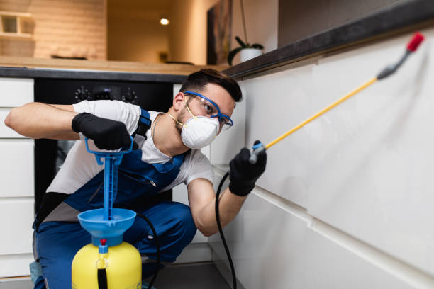 Best Bed Bug Extermination  in Victoria, MN