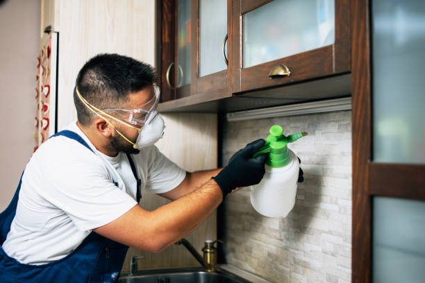 Best Commercial Pest Control Services  in Victoria, MN