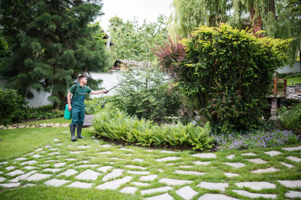 Best Mosquito Control Services  in Victoria, MN