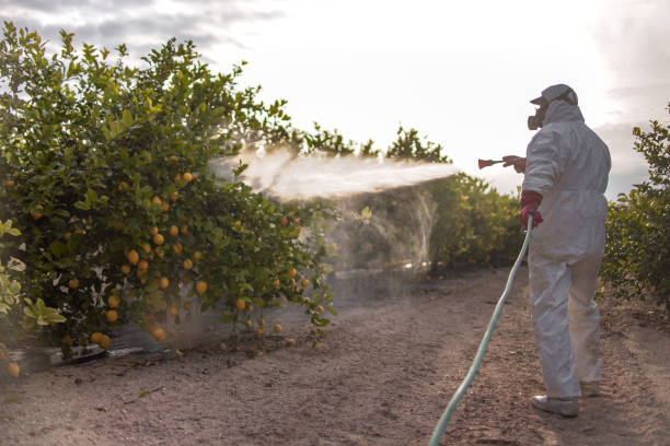 Best Local Pest Control Services  in Victoria, MN