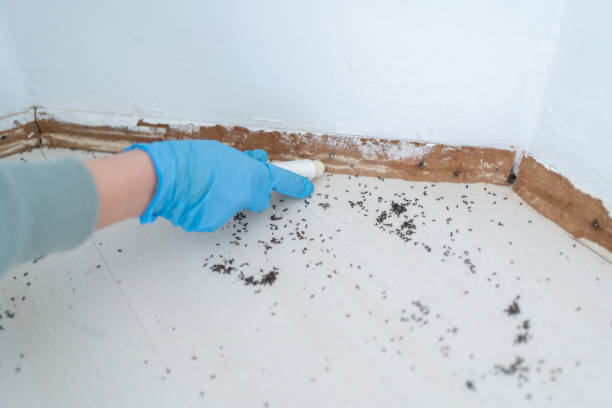 Best Local Pest Control Services  in Victoria, MN